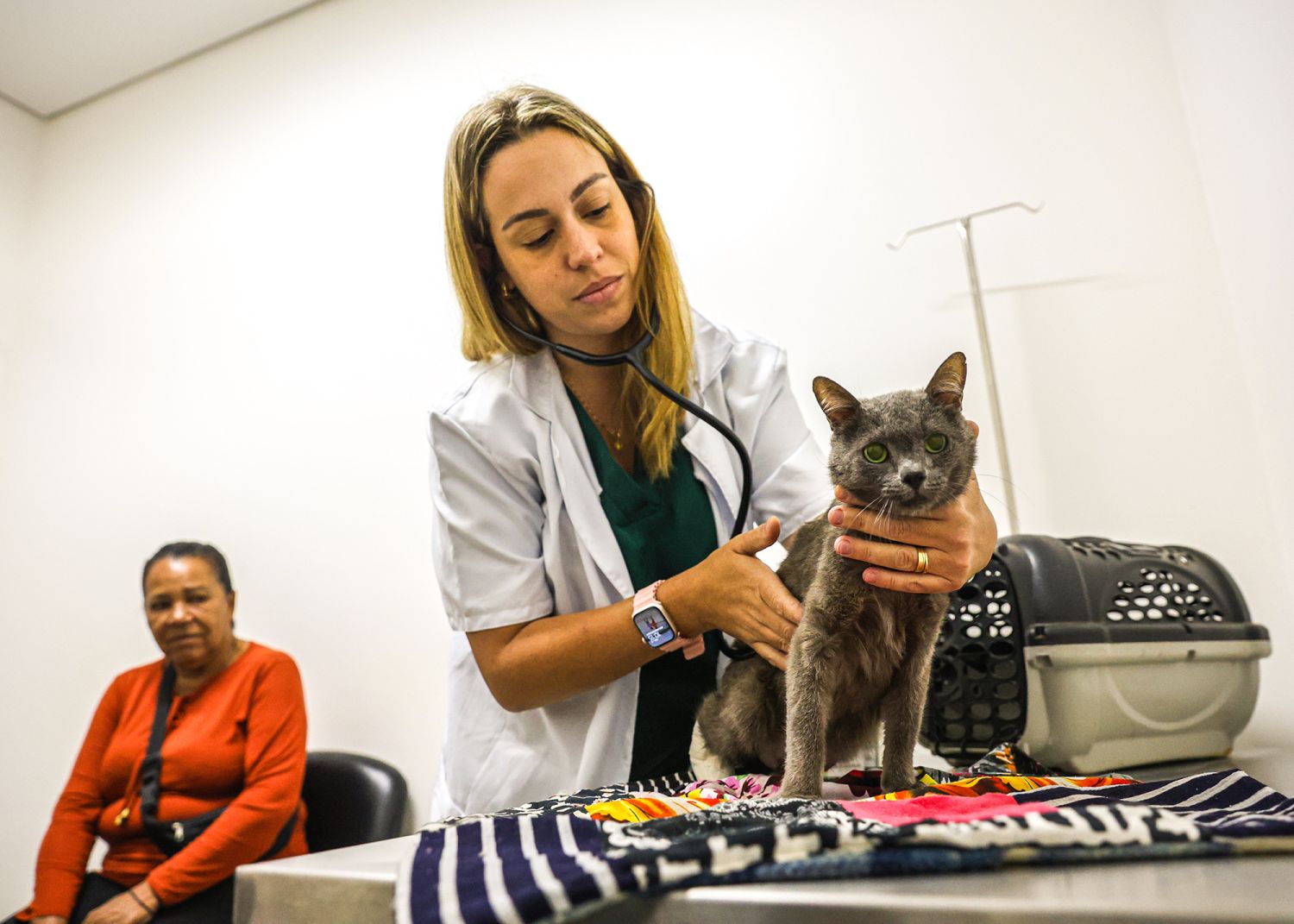 Clínica Veterinária Meu Pet terá castração gratuita entre os dias 1º e 5 de julho