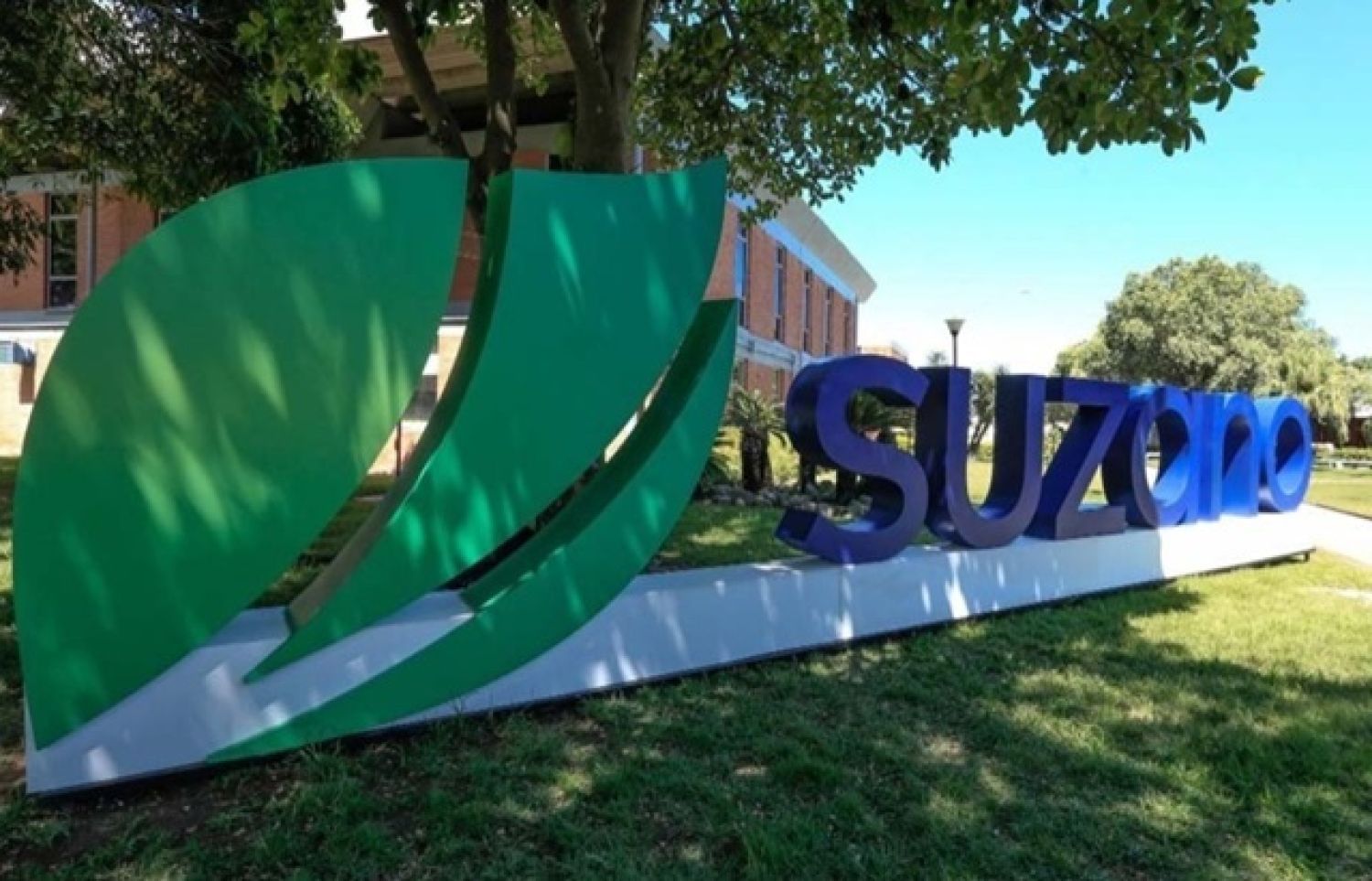 Suzano abre inscrições para Programa de Estágio Superior
